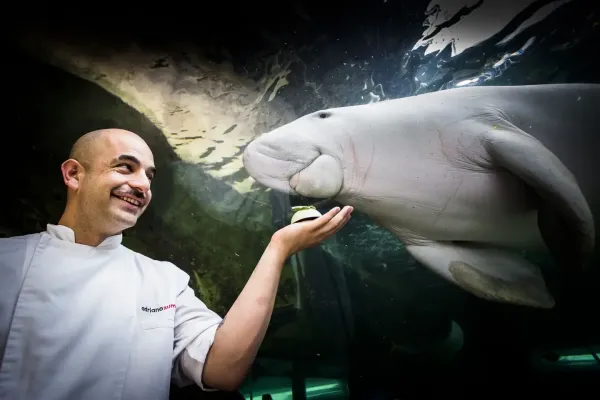 Adriano-Zumbo
