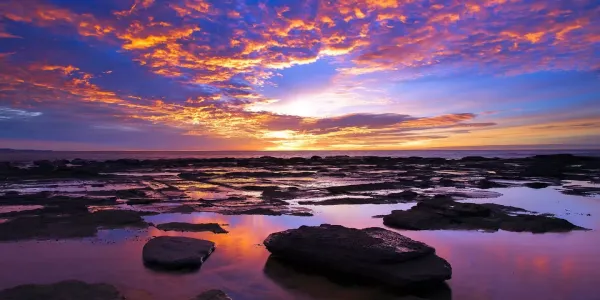 Collaroy